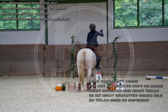 s_K3F02980.JPG